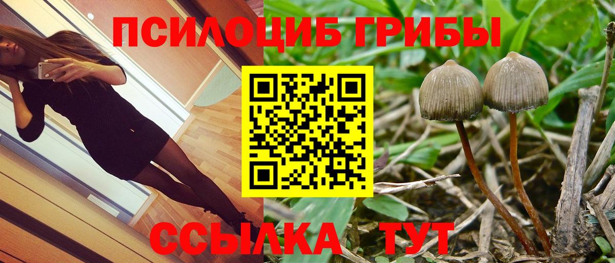 Галлюциногенные грибы Magic Shrooms Каменка